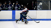 CCM Chicago - Final - Glenview Stars