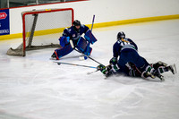 Game 5 - Glenview Stars
